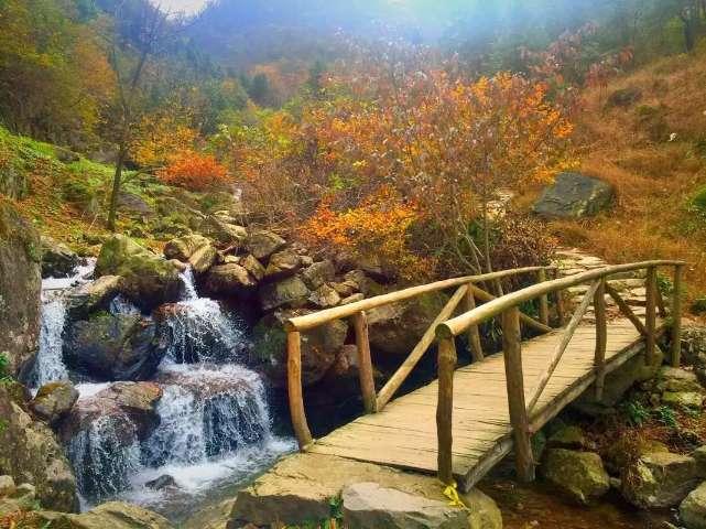 尽在八岁宝宝可以吃dha吗,解答疑问交流平台